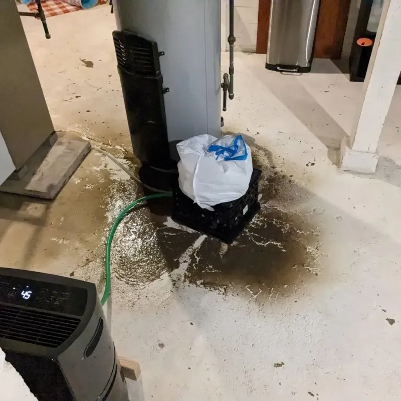 Sewage Backup Cleanup Service in Tuscaloosa, AL